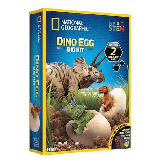 12 Pack: National Geographic&#x2122; Dino Egg Dig Kit